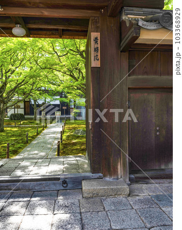 大徳寺 黄梅院（おうばいいん）表門より庫裏前の庭を見る 103368929