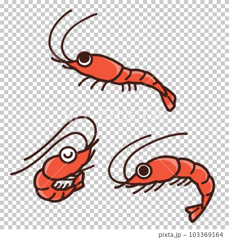エビのかわいい手描きイラスト 表情3種セット エビのかわいい手描きイラスト 表情3種セット 103369164