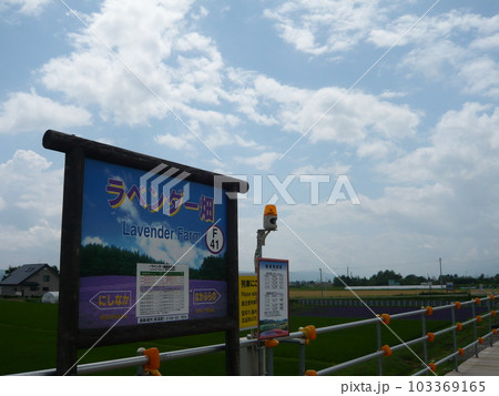 ラベンダー畑駅 103369165