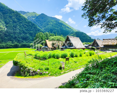 五箇山・菅沼合掌造り集落（夏） 103369227