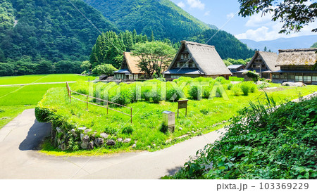 五箇山・菅沼合掌造り集落(夏) 五箇山・菅沼合掌造り集落(夏) 103369229