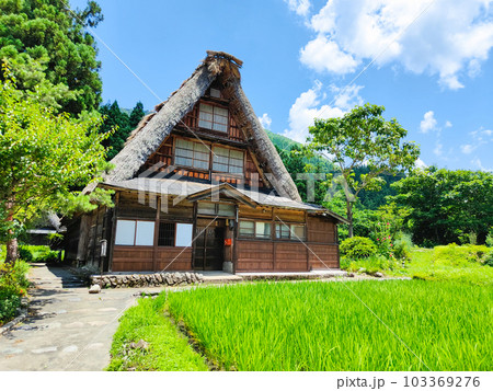 五箇山・菅沼合掌造り集落（夏） 103369276