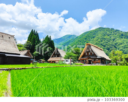 五箇山・菅沼合掌造り集落（夏） 103369300