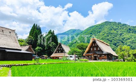 五箇山・菅沼合掌造り集落（夏） 103369301