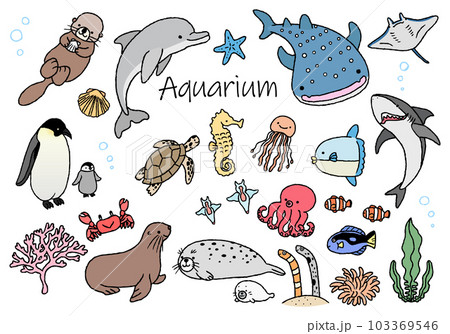 水族館にいるかわいい生き物たちのイラストセット てがき線画 水族館にいるかわいい生き物たちのイラストセット てがき線画 103369546