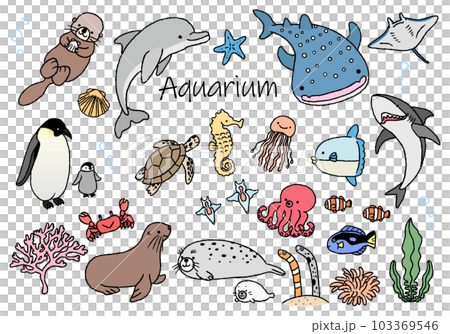水族館にいるかわいい生き物たちのイラストセット てがき線画 水族館にいるかわいい生き物たちのイラストセット てがき線画 103369546