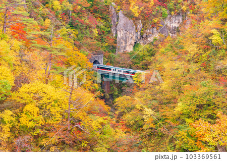 【宮城県】紅葉の鳴子峡を渡る列車 【宮城県】紅葉の鳴子峡を渡る列車 103369561