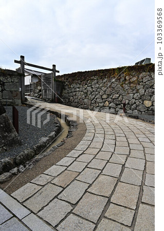 秋の篠山城跡 103369568