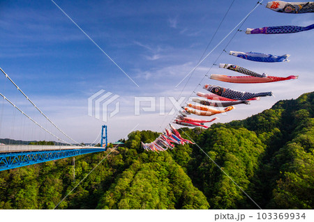 竜神大吊橋と鯉のぼり1 103369934