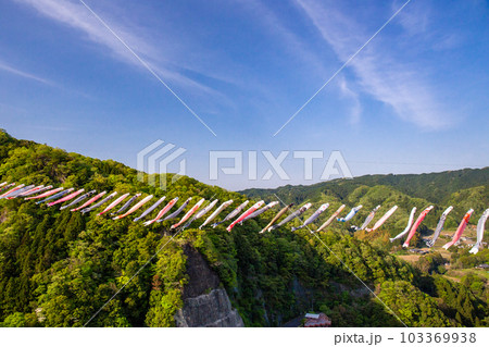竜神大吊橋から鯉のぼりの風景 竜神大吊橋から鯉のぼりの風景 103369938