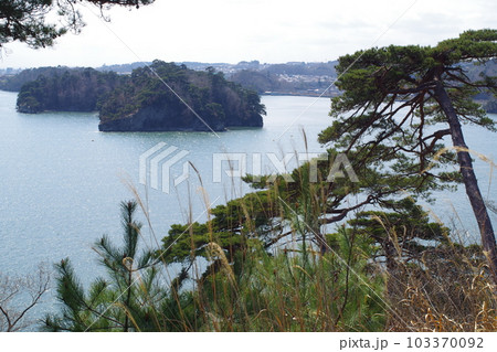 松島湾岸回廊の景色 103370092