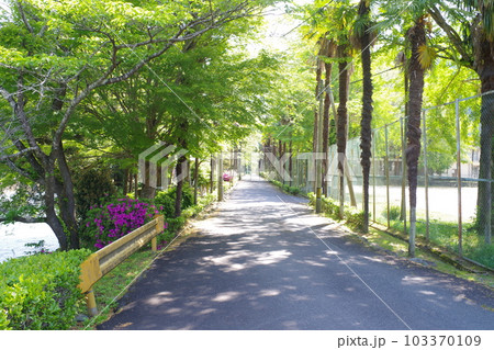清流錦川沿いの学び舎への道 清流錦川沿いの学び舎への道 103370109