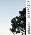 夕暮れ 103370196