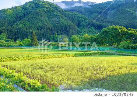 大芦川沿い 田園風景 新緑の季節 鹿沼市 大芦川沿い 田園風景 新緑の季節 鹿沼市 103370248