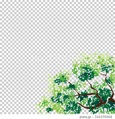 green leaves and branches vector illustration 103370508
