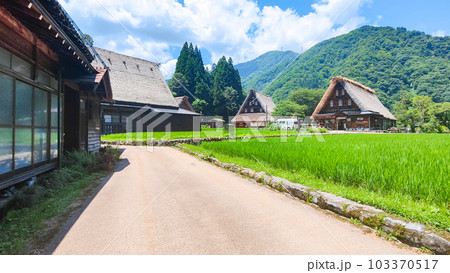 五箇山・菅沼合掌造り集落(夏) 五箇山・菅沼合掌造り集落(夏) 103370517