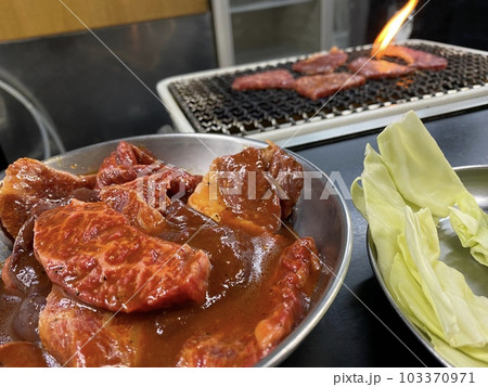 日本の焼肉屋さんでハラミをいただく 日本の焼肉屋さんでハラミをいただく 103370971