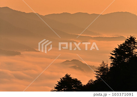 秋の向山連山 103371091