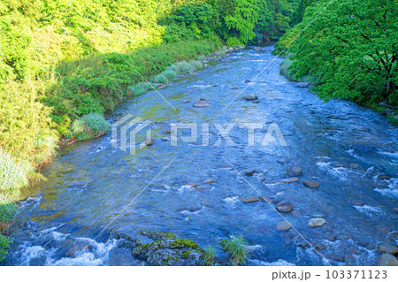 大芦川 塩沢橋からの眺め 新緑の風景 鹿沼市 大芦川 塩沢橋からの眺め 新緑の風景 鹿沼市 103371123