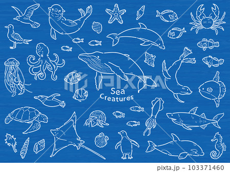 海の生き物 イラストセット 線画のイラスト素材 [103371460] - PIXTA