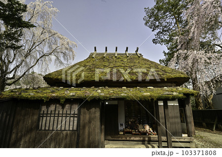 桜が満開の角館 桜が満開の角館 103371808