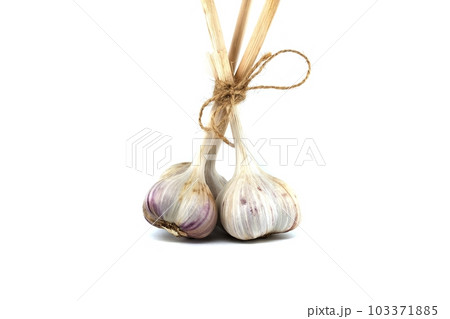 Garlic bulbs in close-up on white background 103371885