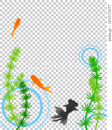 Demekin and Wakin swimming underwater 103372077