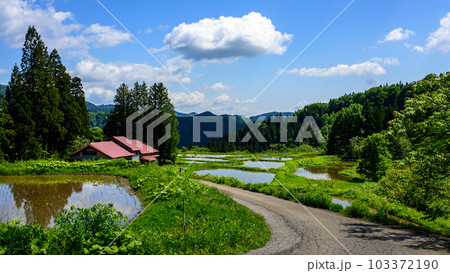春　日本の原風景　田植え後の棚田　秋田県 103372190