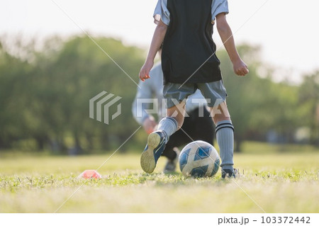 Soccer Coach Soccer Coach 103372442