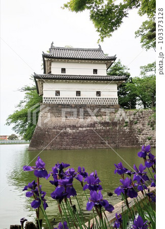 新潟県 新発田城と菖蒲 新潟県 新発田城と菖蒲 103373128