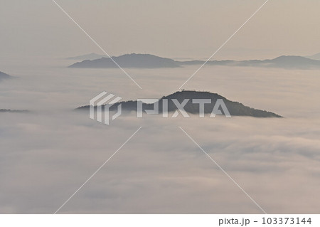 秋の向山連山 103373144