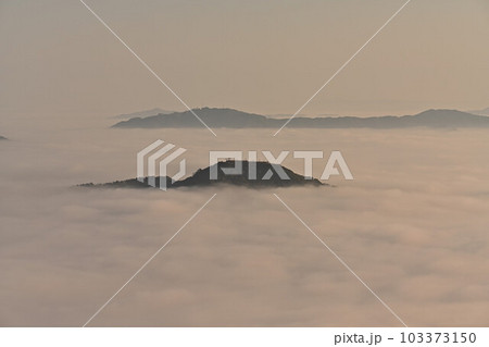 秋の向山連山 103373150
