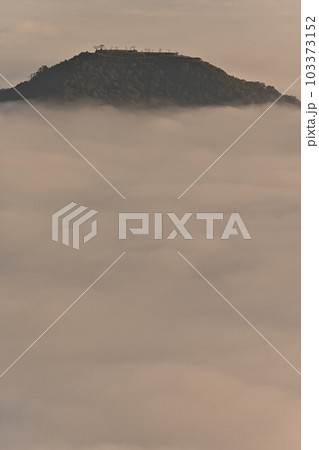 秋の向山連山 103373152