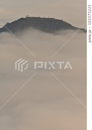秋の向山連山 103373225
