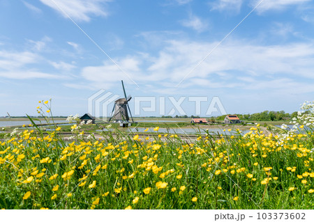 The mill het noorden is a mill on the island of Texel The mill het noorden is a mill on the island of Texel 103373602