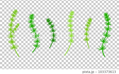 Set of various Matsumo 103373613