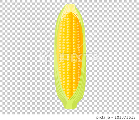 帶皮鮮玉米 103373615