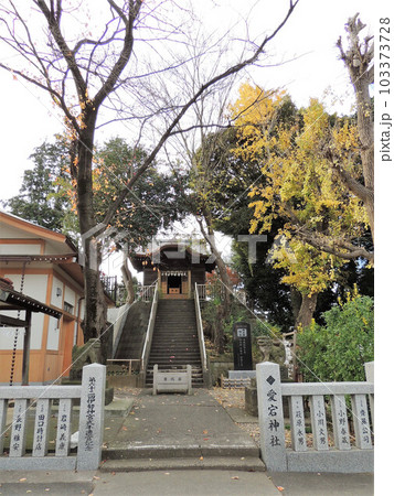 愛宕神社 岩槻城大構 愛宕神社 岩槻城大構 103373728