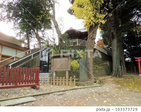 愛宕神社　岩槻城大構 103373729