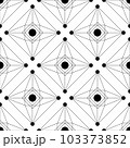 Black and White seamless vector background Pattern. monochrome elements 103373852