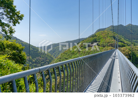 綾の照葉大吊橋の風景 綾の照葉大吊橋の風景 103373962