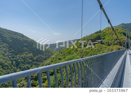 綾の照葉大吊橋の風景 綾の照葉大吊橋の風景 103373967