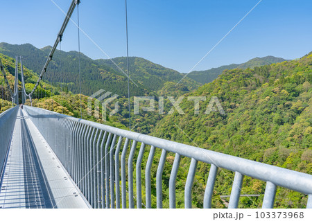 綾の照葉大吊橋の風景 103373968
