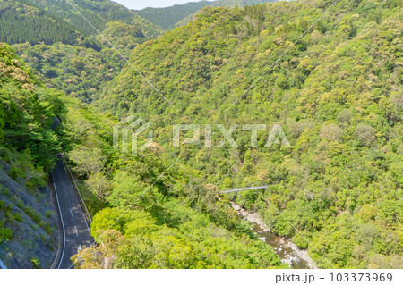 綾の照葉大吊橋からの風景 綾の照葉大吊橋からの風景 103373969
