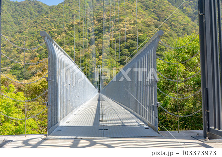 綾の照葉大吊橋の風景 綾の照葉大吊橋の風景 103373973
