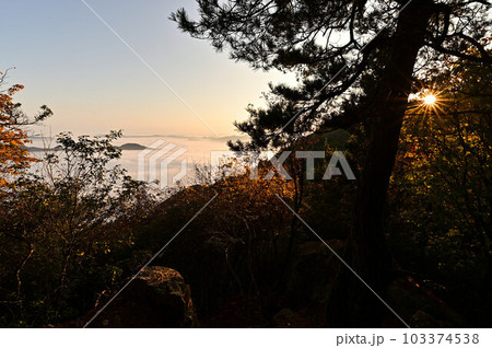 秋の向山連山 103374538