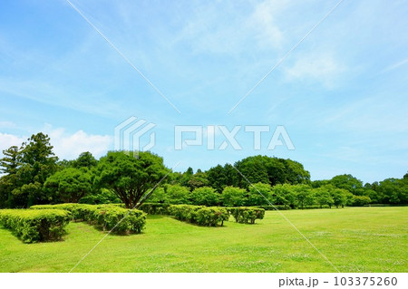 涸沼自然公園 茨城県 涸沼自然公園 茨城県 103375260