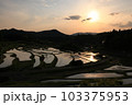 棚田が見せる夕景 103375953