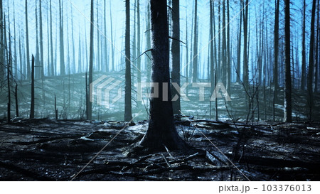 Broken trees in woods after bombing or artillery fire Broken trees in woods after bombing or artillery fire 103376013