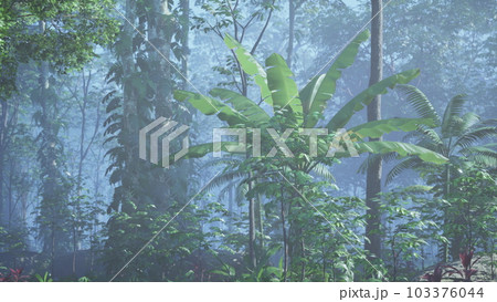 inside a rainforest covered in bright green moss inside a rainforest covered in bright green moss 103376044
